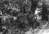 Table of eroded limestone