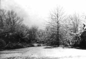 Snow scene