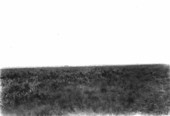 Prairie with Okeechobee City in the distance