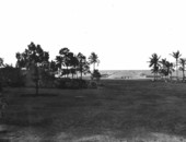 Lawn and ocean