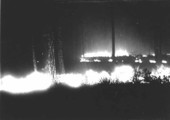 Forest fire