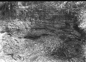 Shell midden partly excavated for road material