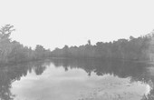 View of Wakulla River from lower bridge