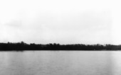 Coastline
