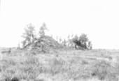 Piles of earth from phosphate mining