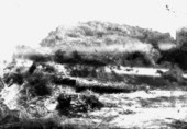 Turtle Mound kitchen-midden
