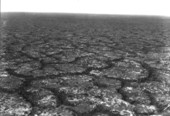 Cracked earth