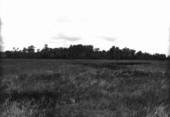 Border between a prairie and a swamp