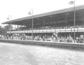 Grandstand at the dog track.