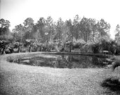 Pond.