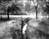Drainage ditch.