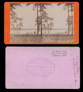View of Lake Woodward - Eustis, Florida