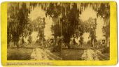 Magnolia Park by the Saint Johns River