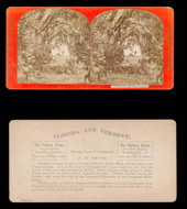 Residence Mrs. H.B. Stowe, Mandarin.