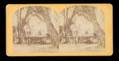 Live oak tree in front of Mrs. H.B. Stowe's house - Mandarin, Florida