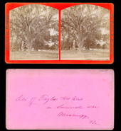 Site of Taylor's headquarters in Seminole War - Micanopy, Florida