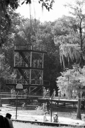 Diving tower at the Wakulla Springs attraction.