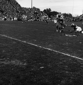FSU #81 Don Floyd being tackled by Allen Trammell during football game in Tallahassee against UF.