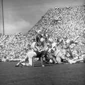 FSU football game against UF at Doak Sheridan Campbell Stadium in Tallahassee.
