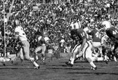 FSU quarterback #11 Kim Hammond dropping back to pass during Gator Bowl game against PSU in Jacksonville.