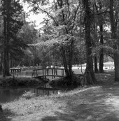 Blue Hole Spring swimming area at Florida Caverns State Park in Marianna.