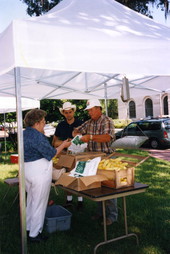 Visitor buying squash from a vendor at the "Downtown Marketplace" at Ponce de Leon Park in the Tallahassee Downtown Improvement Authority special assessment district.