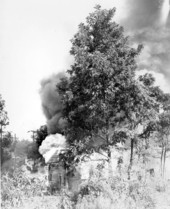 Tallahassee residential fire.