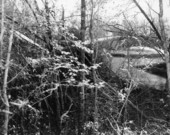 View showing plane crash approximately 150' from Dale Mabry Field near Blountstown Highway - Tallahassee, Florida.