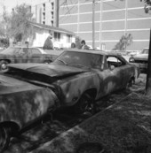 View showing a car destroyed by arson at FSU in Tallahassee, Florida.