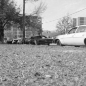 View showing line of cars on Hull Dr. damaged by arson at FSU in Tallahassee, Florida.