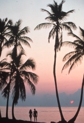 Couple on the beach during sunset.