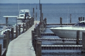 Marina in Florida.