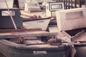 Close-up view of oyster boats docked at St. George Island.