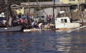 Men baling water out of a sunken boat in Carrabelle, Florida.