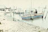 Close-up view showing oyster boats docked at the fishing village of Eastpoint near Apalachicola, Florida.