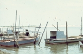 Close-up view of oyster boats docked at the fishing village of Eastpoint near Apalachicola, Florida.