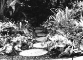 Miami Beach Garden Center and Conservatory