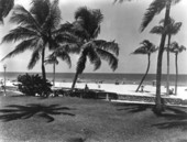 Lummus Park and beach - Miami Beach, Florida.