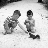 Young visitors feeding a squirrel at Homosassa Springs.