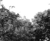 View of Chattahoochee River .