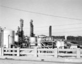 View of the St. Joe Paper Company - Port Saint Joe, Florida