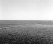 Aerial view of the waterway - Saint George Island, Florida .