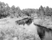 View of Yent Bayou in Winter Haven.