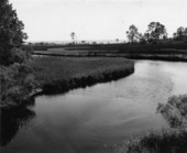 View of Yent Bayou in Winter Haven.