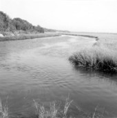 View of a waterway - Fernandina Beach, Florida.