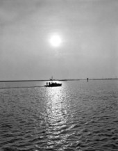 Oyster boat going to the oyster beds - Apalachicola, Florida