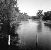 View of Wakulla River .