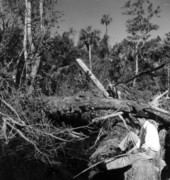 Herman Terrill takes time out to fish in swamp water for bass & bream - Copeland, Florida