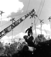 Unidentified men load logs on railroad cars - Copeland, Florida
