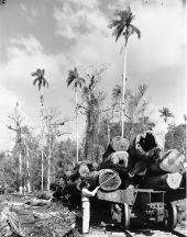 Herman Terrill measures a log - Copeland, Florida